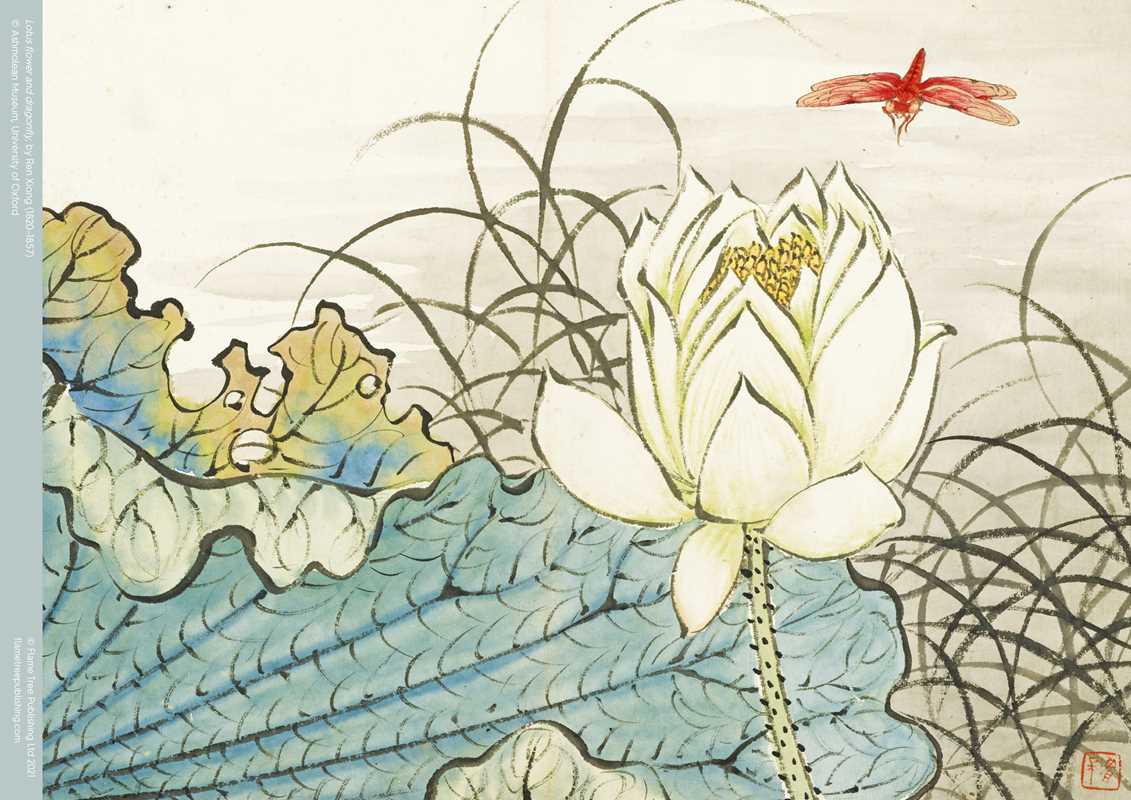 Ashmolean: Ren Xiong: Lotus Flower and Dragonfly - 500 piece jigsaw puzzle - Perrymans Books & Gifts