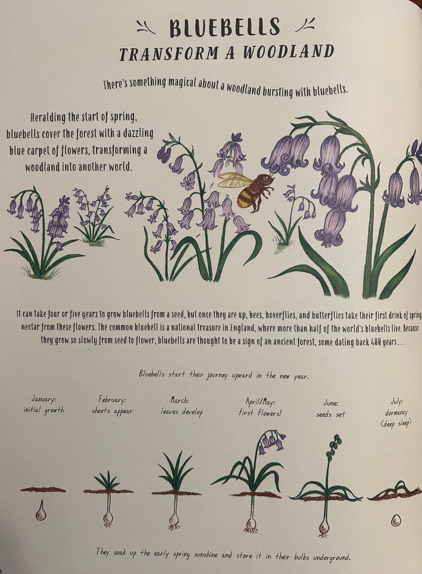 Slow Down - Perrymans Books & Gifts