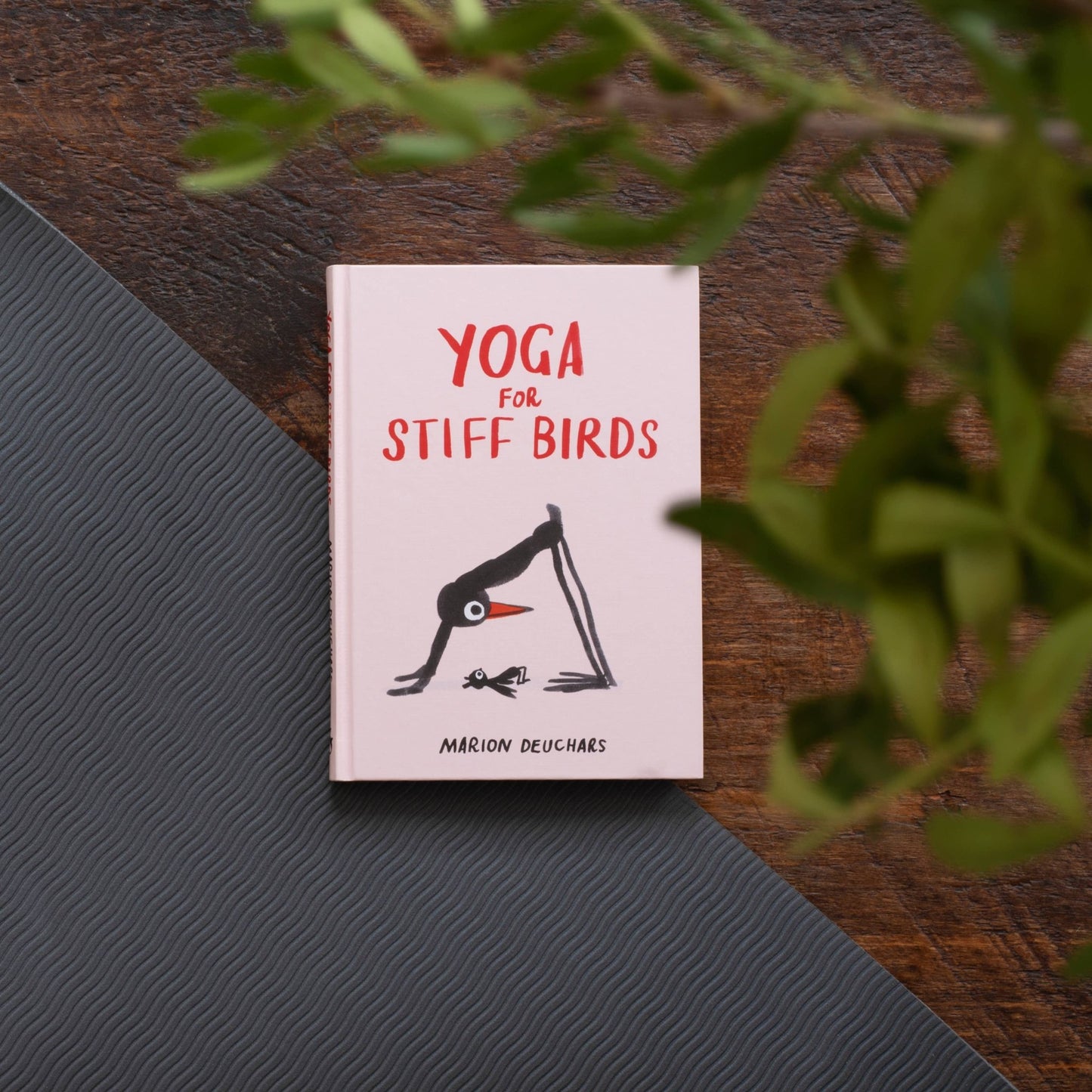Yoga for Stiff Birds - Perrymans Books & Gifts