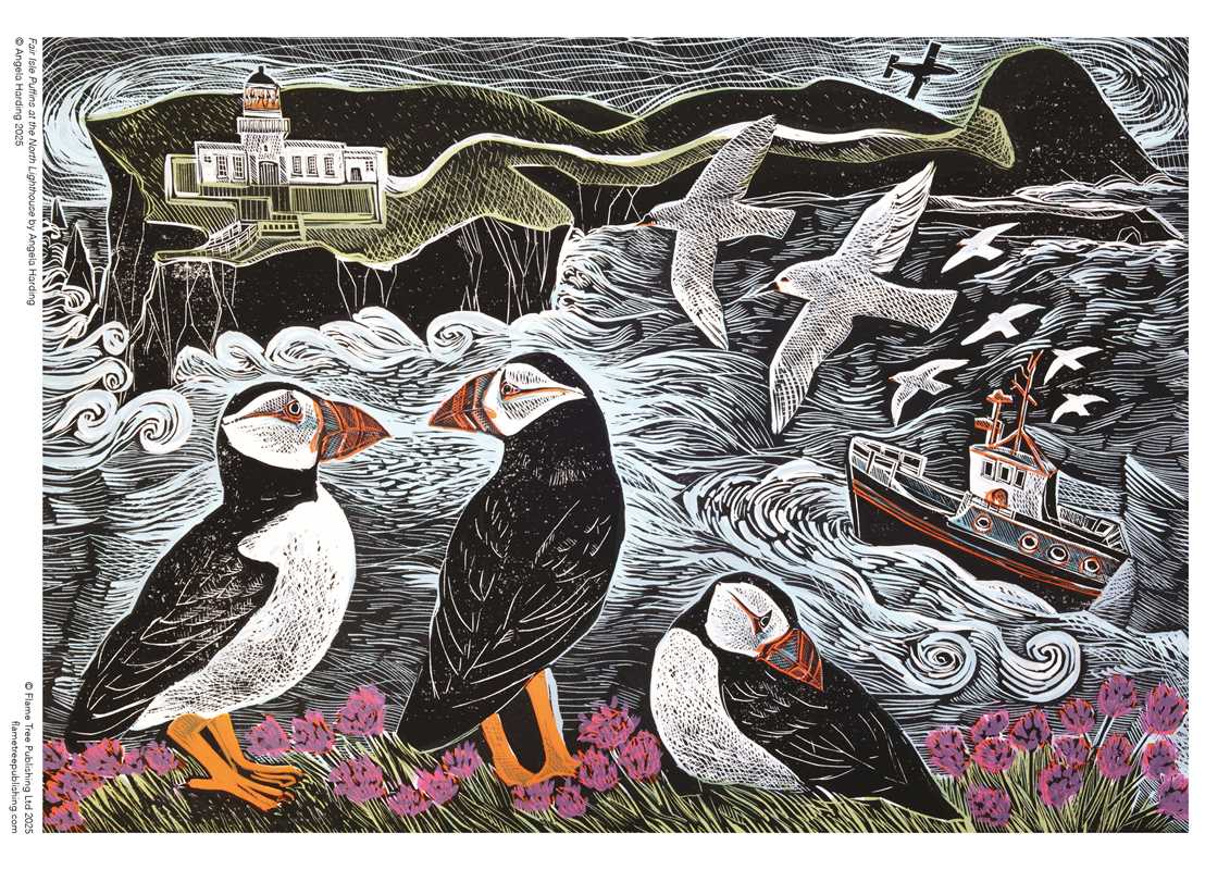 1000 Piece Puzzle - Fair Isle Puffins by Angela Harding - Perrymans Books & Gifts