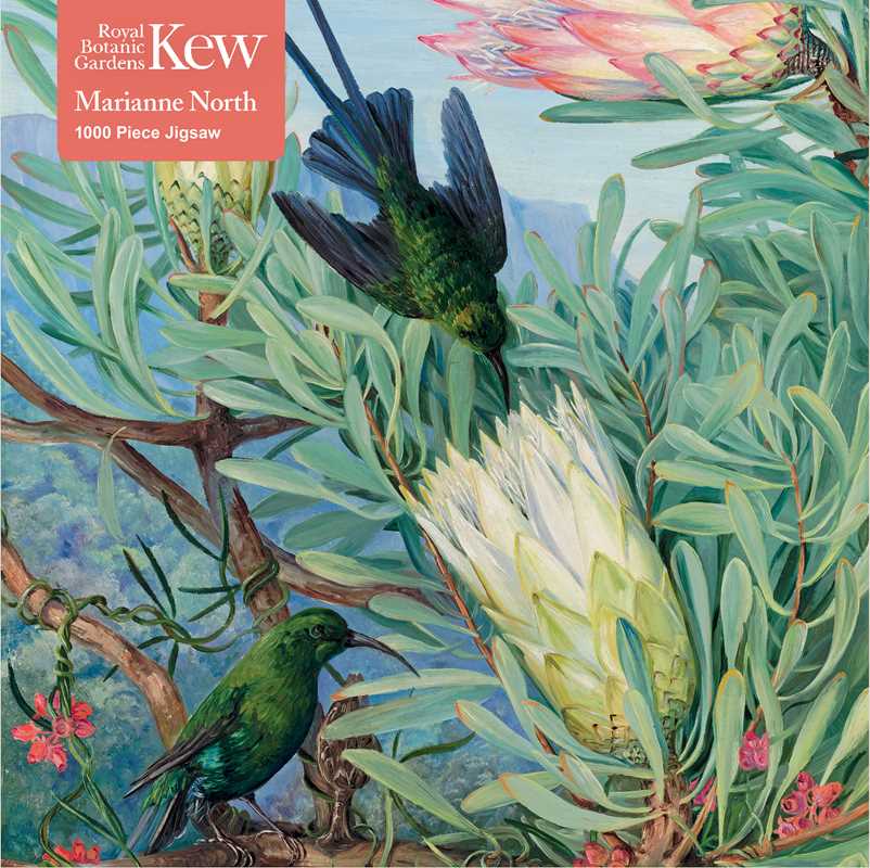 1000 Piece Puzzle - Honeyflowers and Honeysuckers by Marianne North - Perrymans Books & Gifts
