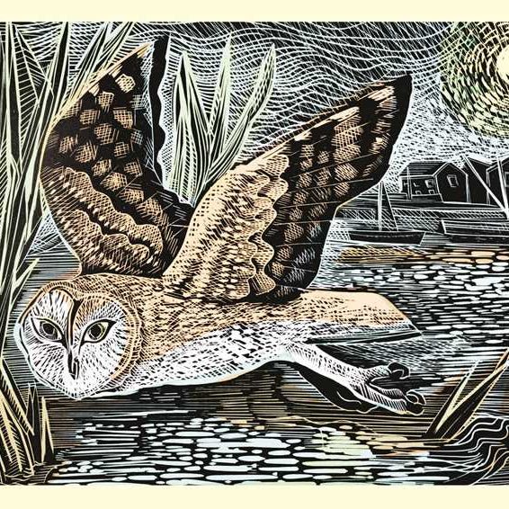 1000 Piece Puzzle - Marsh Owl by Angela Harding - Perrymans Books & Gifts