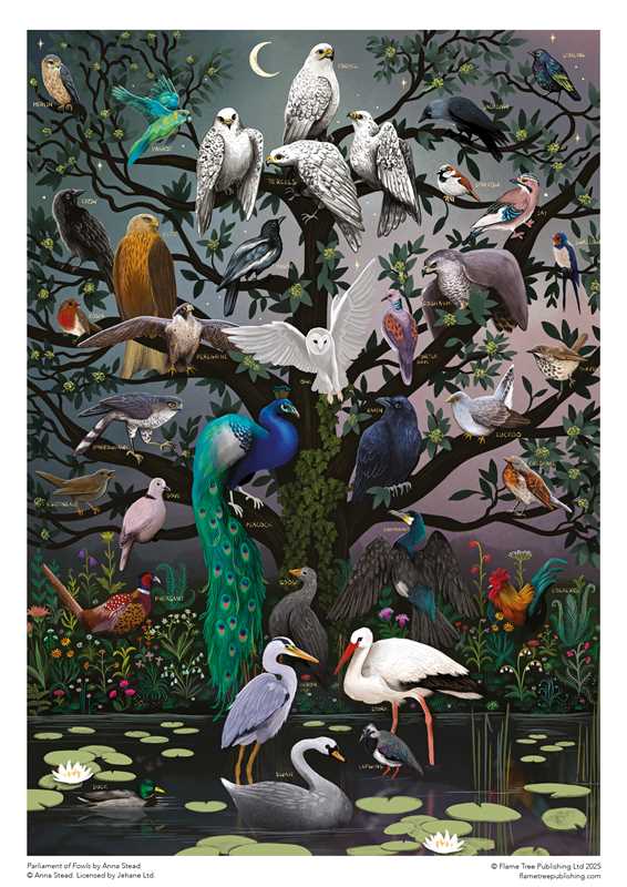 1000 Piece Puzzle - Parliament of Fowls by Anna Stead - Perrymans Books & Gifts