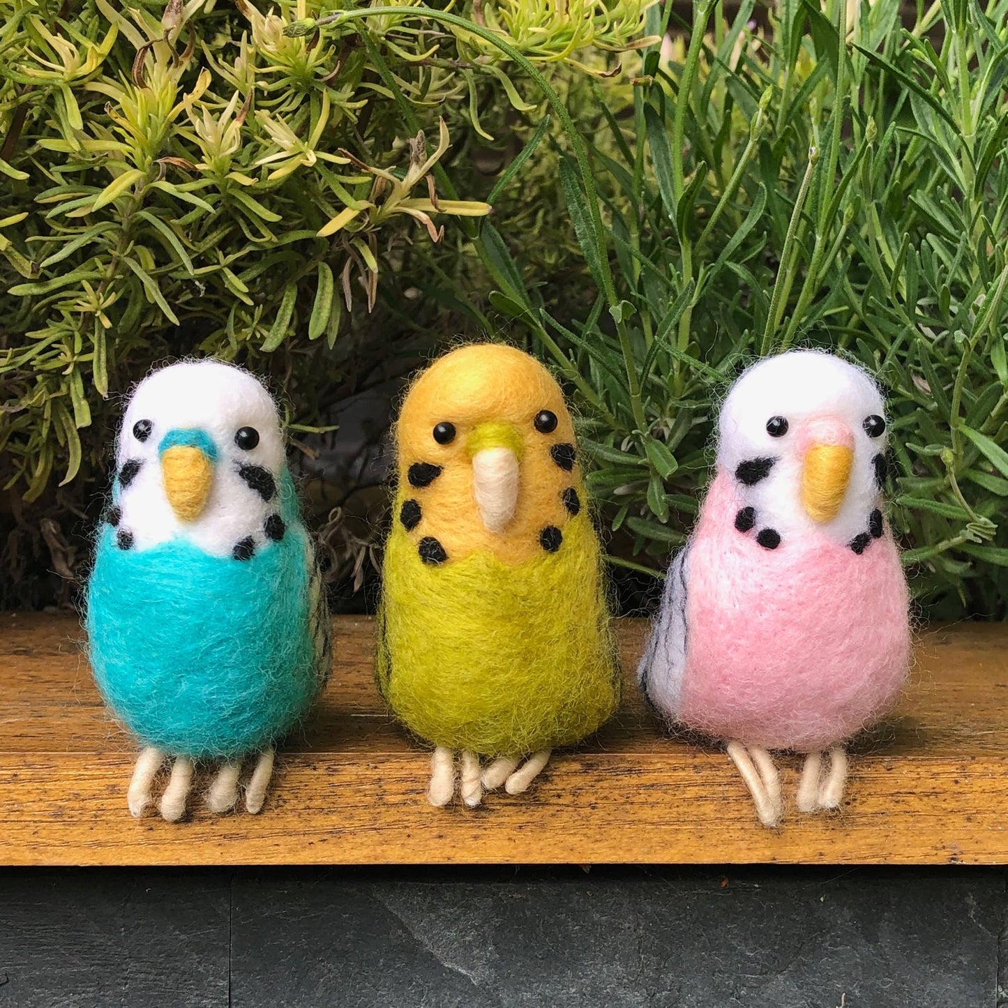 Blue Budgie Needle Felting Kit - Perrymans Books & Gifts