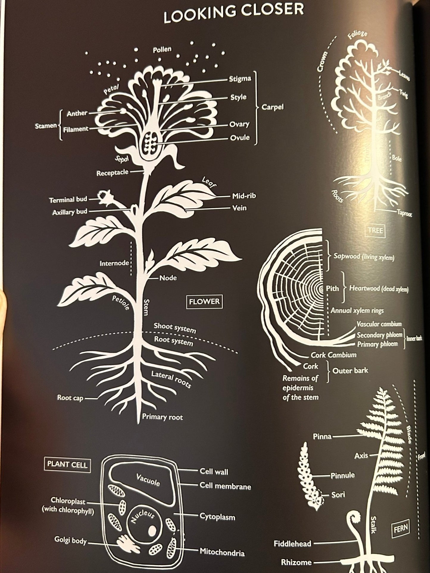 Botanical Bible - Perrymans Books & Gifts