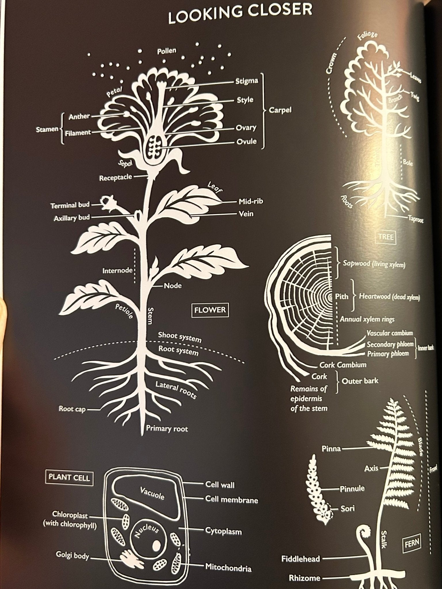 Botanical Bible - Perrymans Books & Gifts
