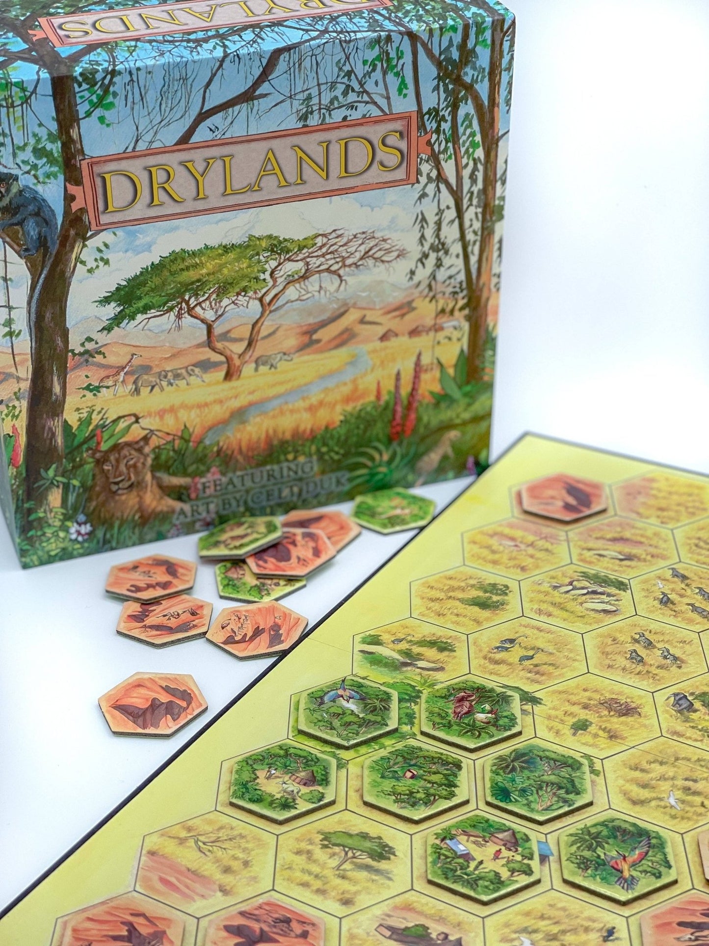 Drylands Board Game - Perrymans Books & Gifts