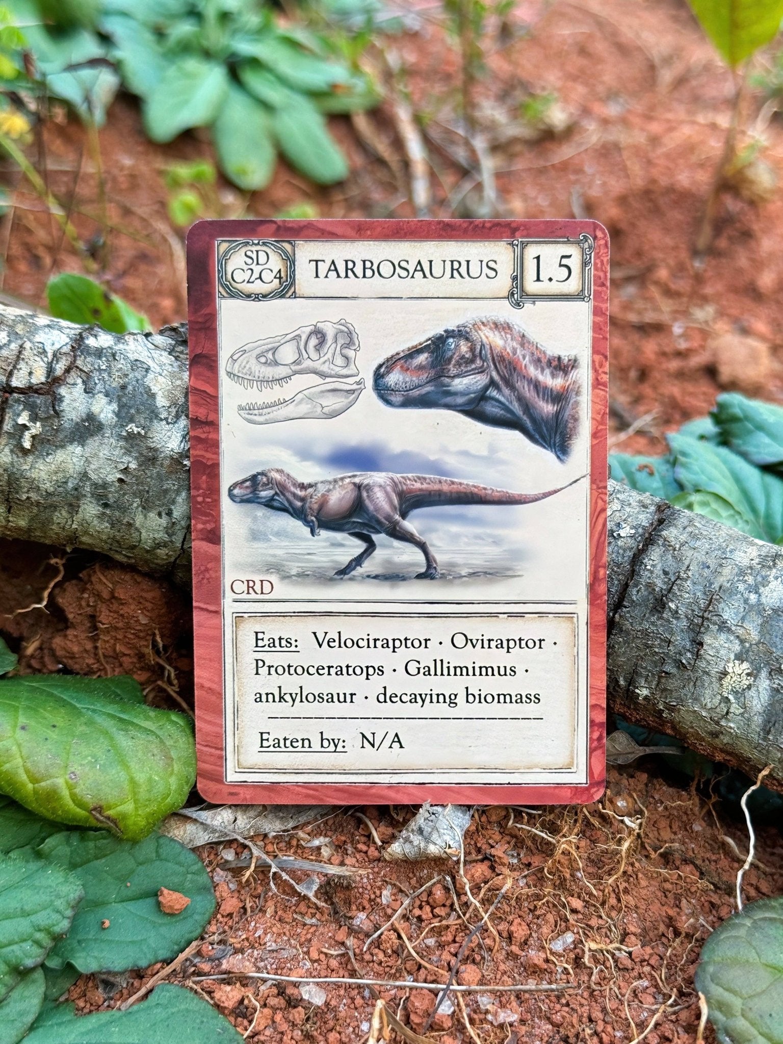 Ecologies: Ancient Areas - Perrymans Books & Gifts