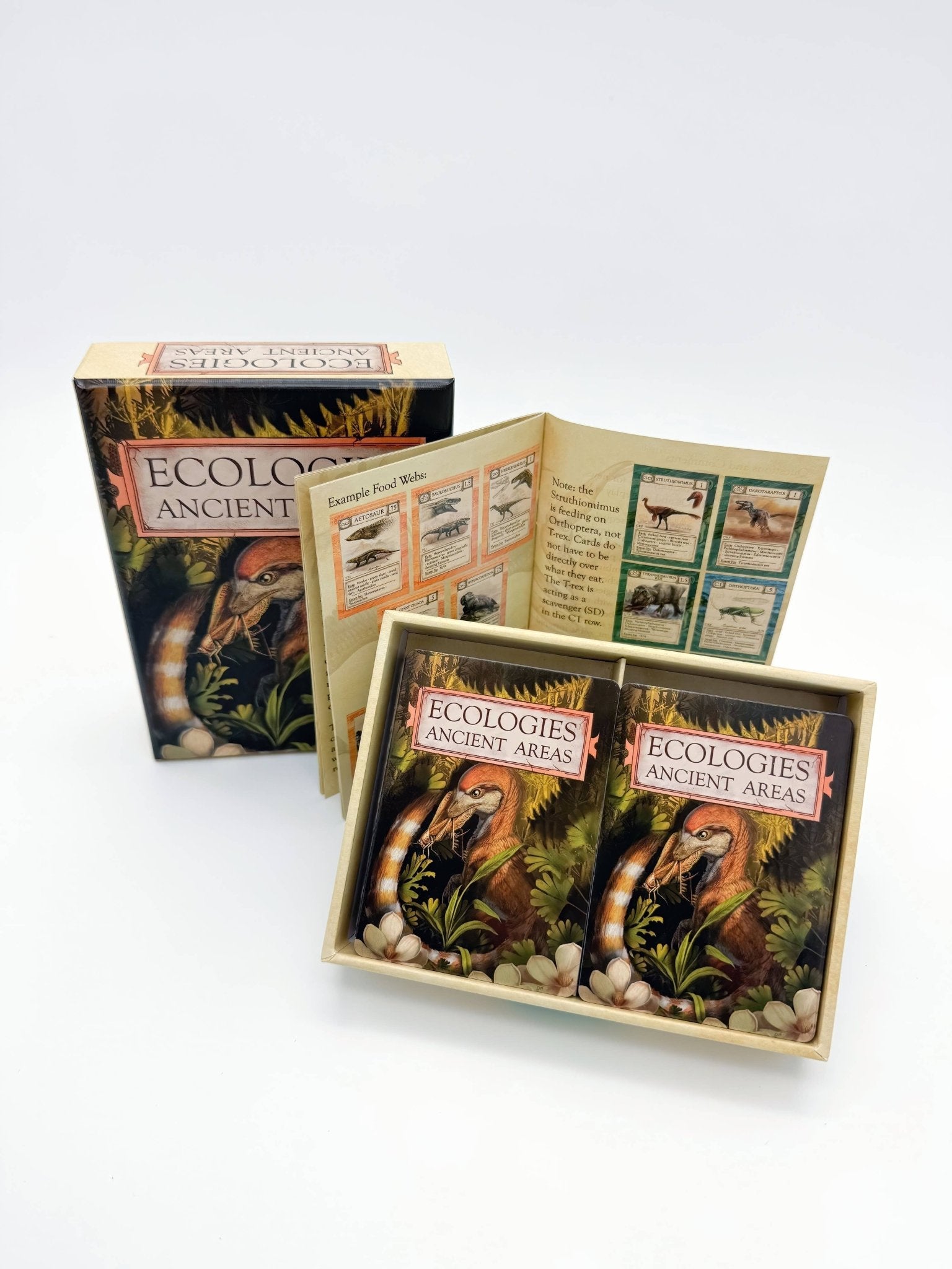 Ecologies: Ancient Areas - Perrymans Books & Gifts