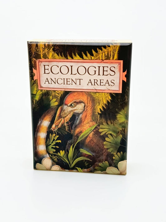 Ecologies: Ancient Areas - Perrymans Books & Gifts