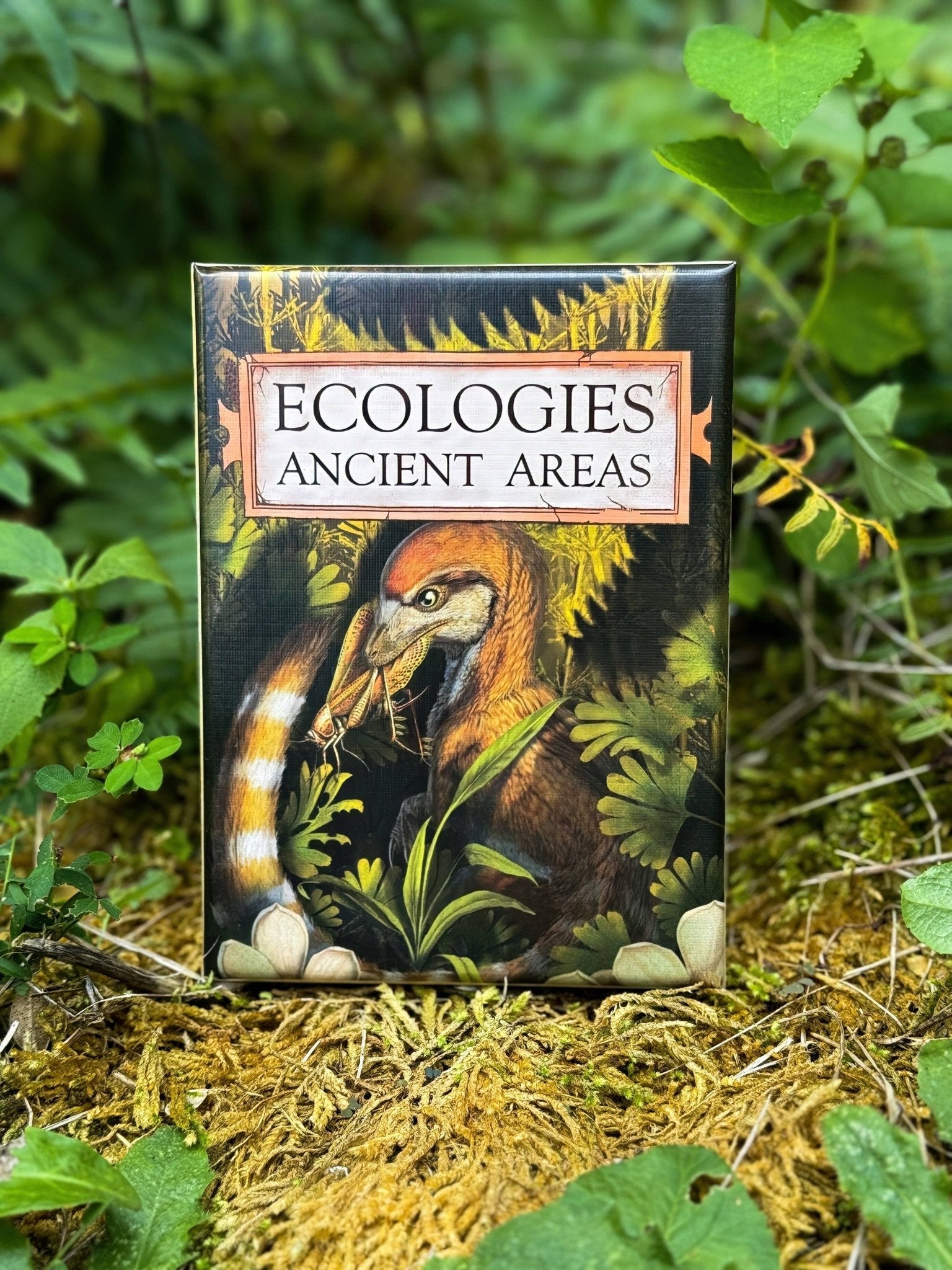 Ecologies: Ancient Areas - Perrymans Books & Gifts