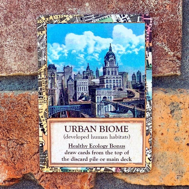Ecologies: Bizarre Biomes - Perrymans Books & Gifts