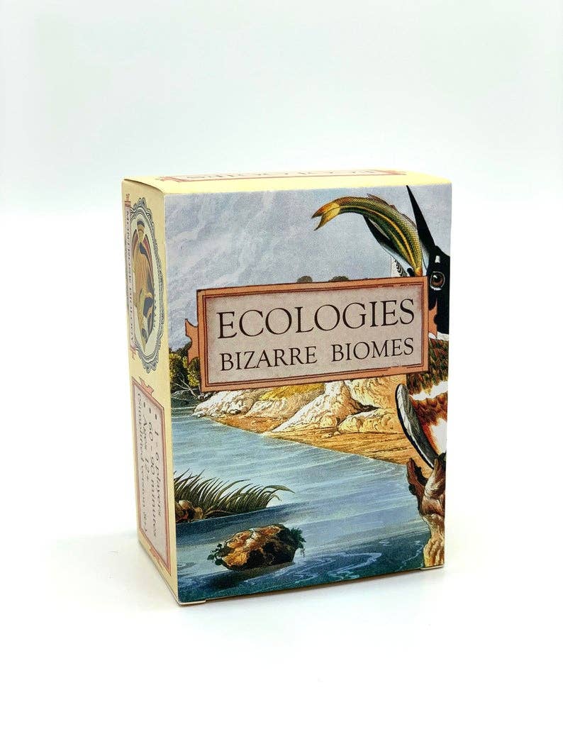 Ecologies: Bizarre Biomes - Perrymans Books & Gifts