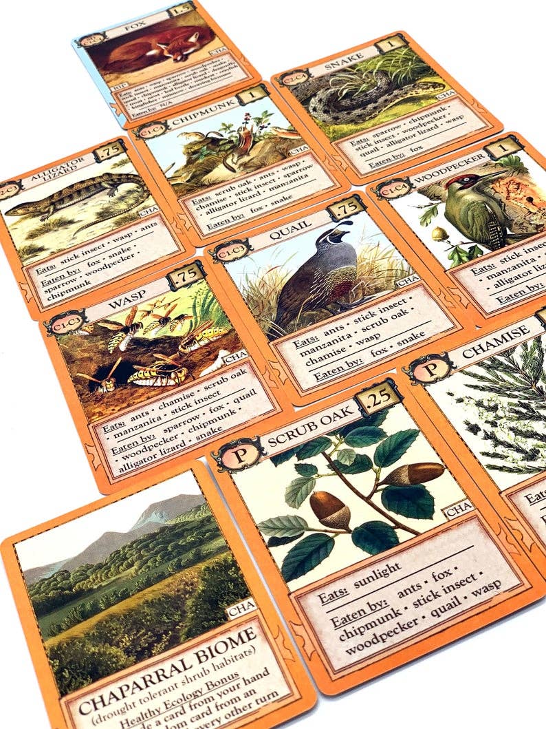 Ecologies: Bizarre Biomes - Perrymans Books & Gifts