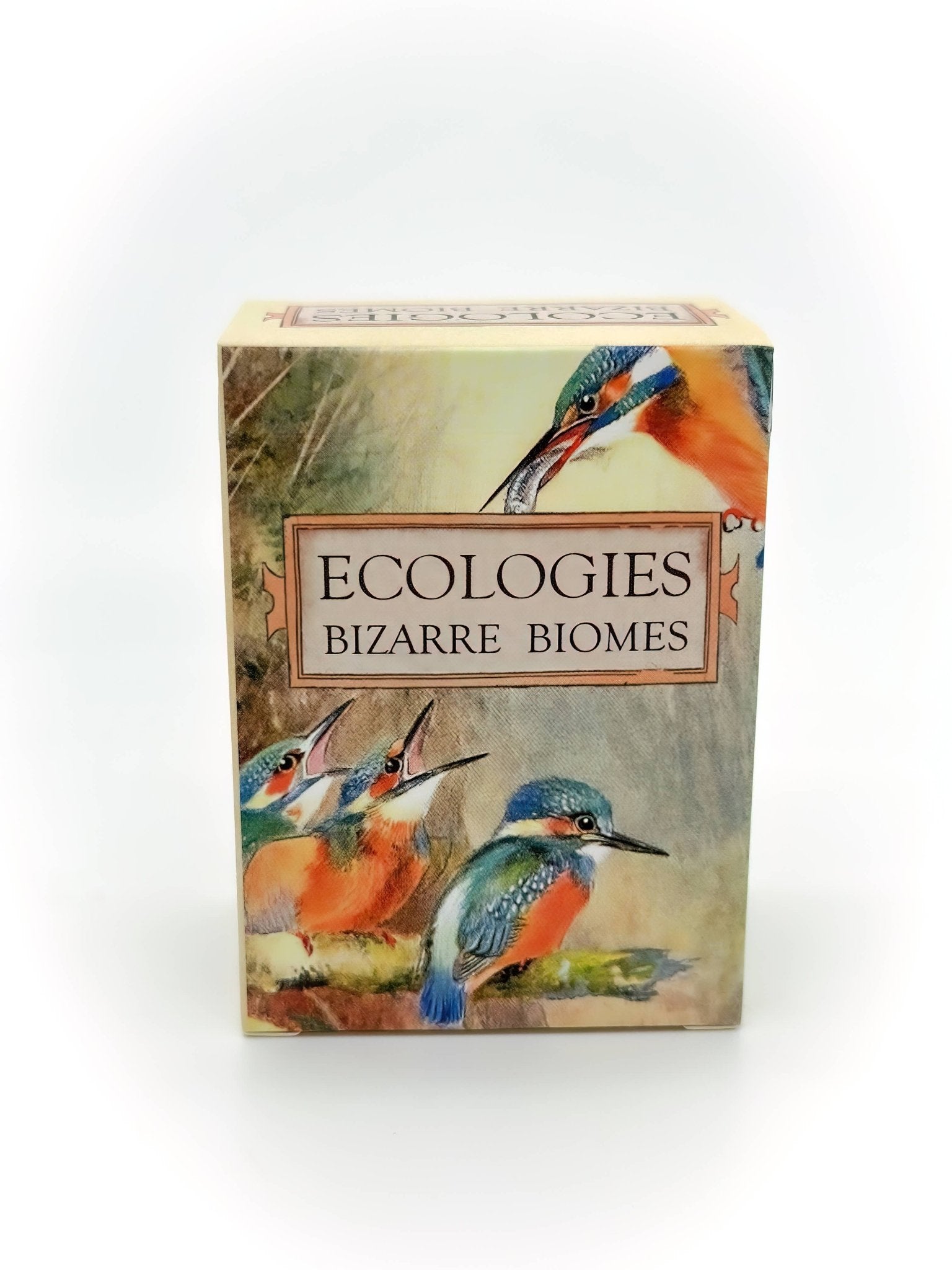 Ecologies: Bizarre Biomes - Perrymans Books & Gifts
