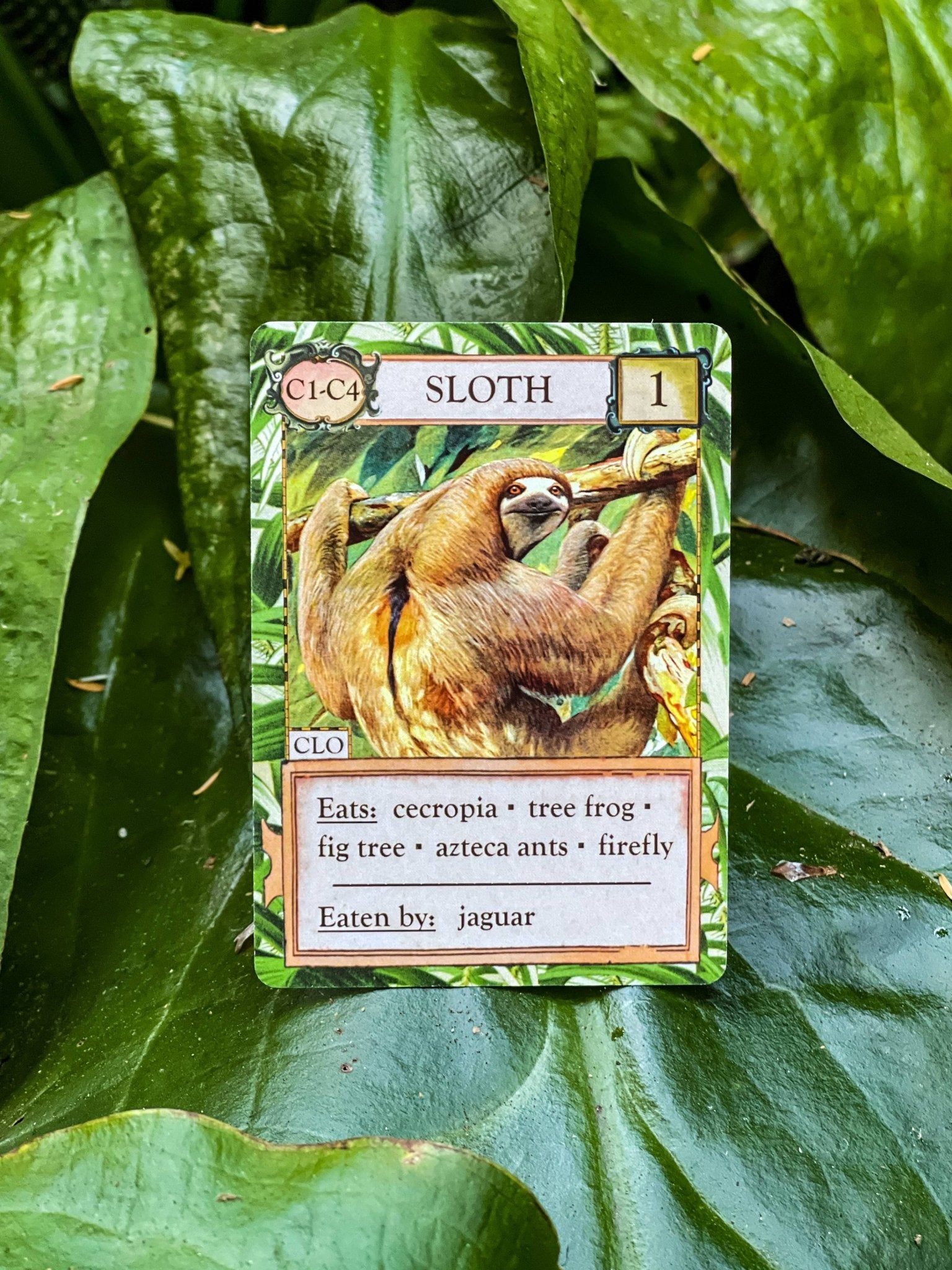 Ecologies: Hidden Habitats Card Game - Perrymans Books & Gifts