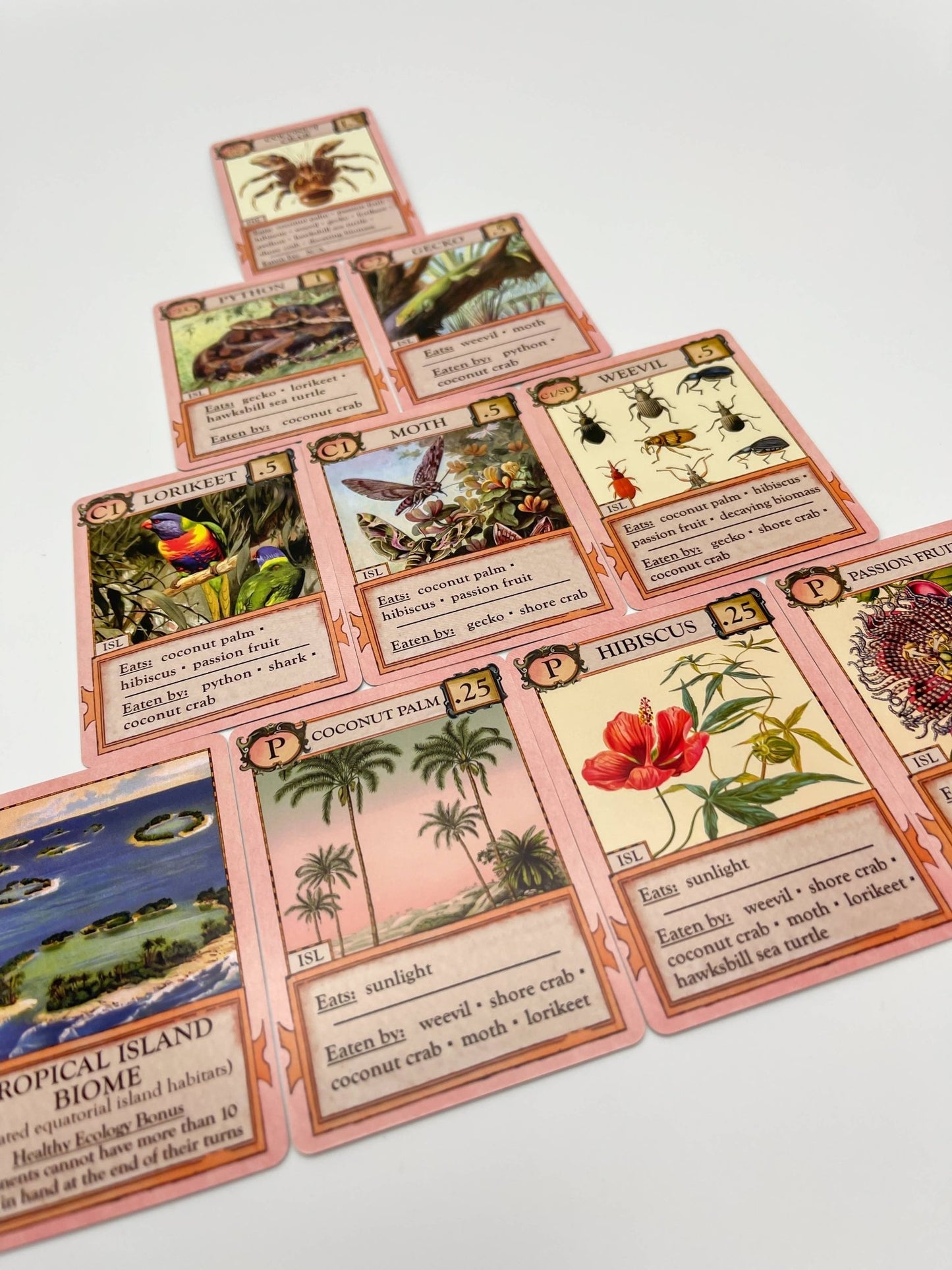 Ecologies: Hidden Habitats Card Game - Perrymans Books & Gifts