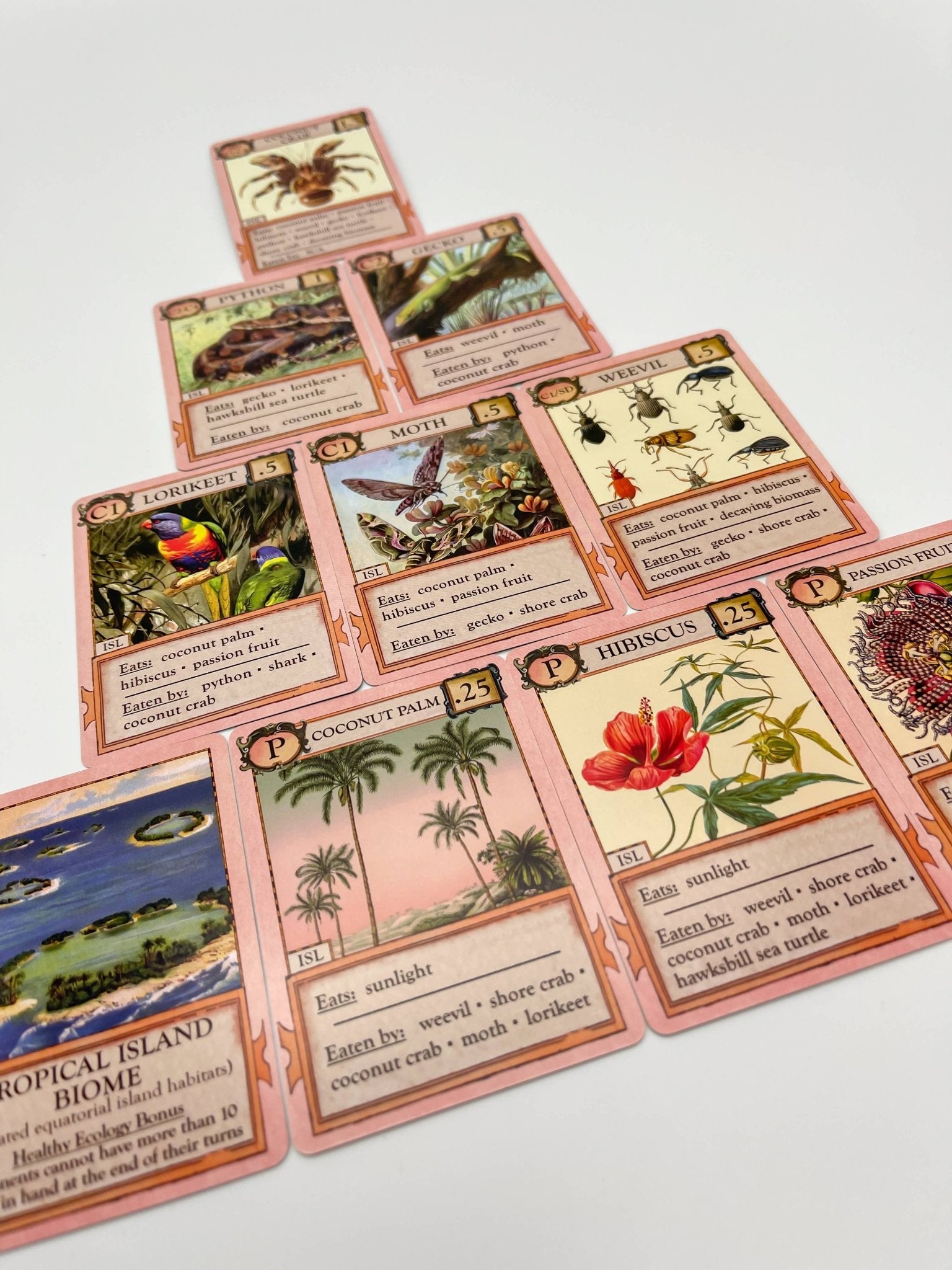 Ecologies: Hidden Habitats Card Game - Perrymans Books & Gifts