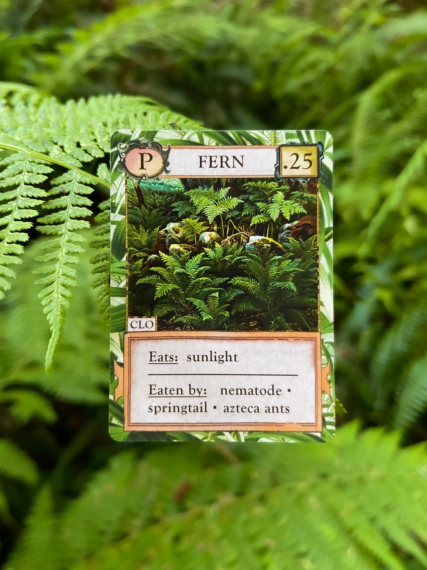 Ecologies: Hidden Habitats Card Game - Perrymans Books & Gifts