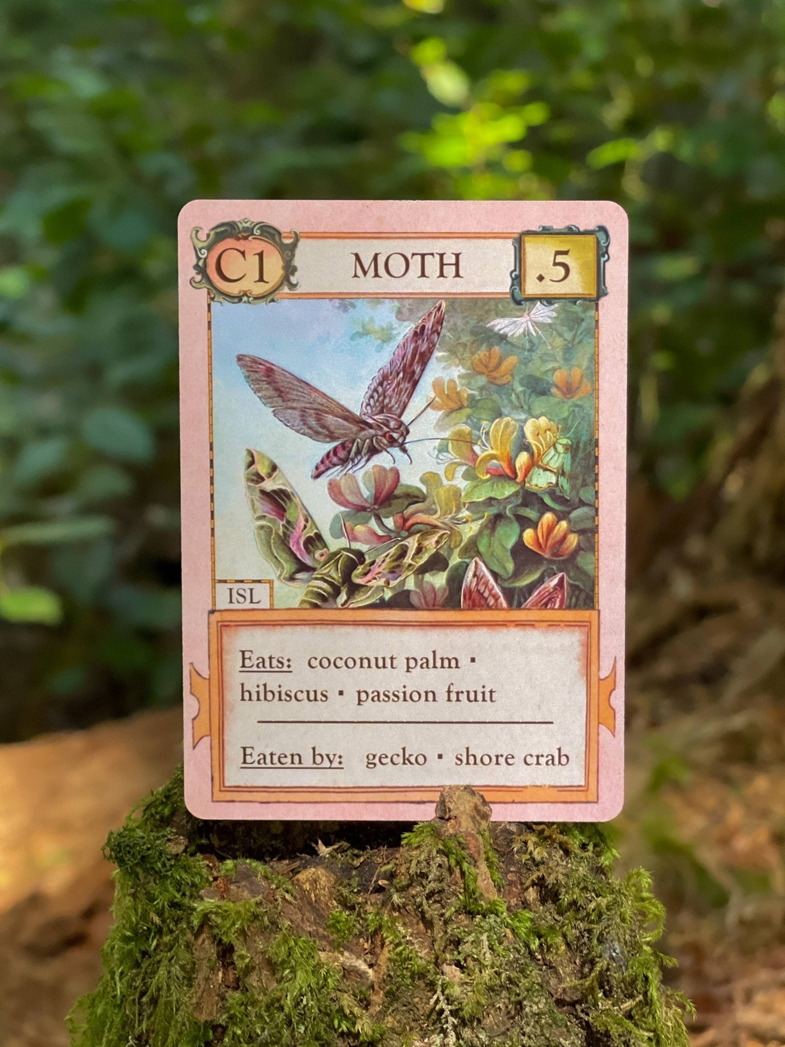 Ecologies: Hidden Habitats Card Game - Perrymans Books & Gifts