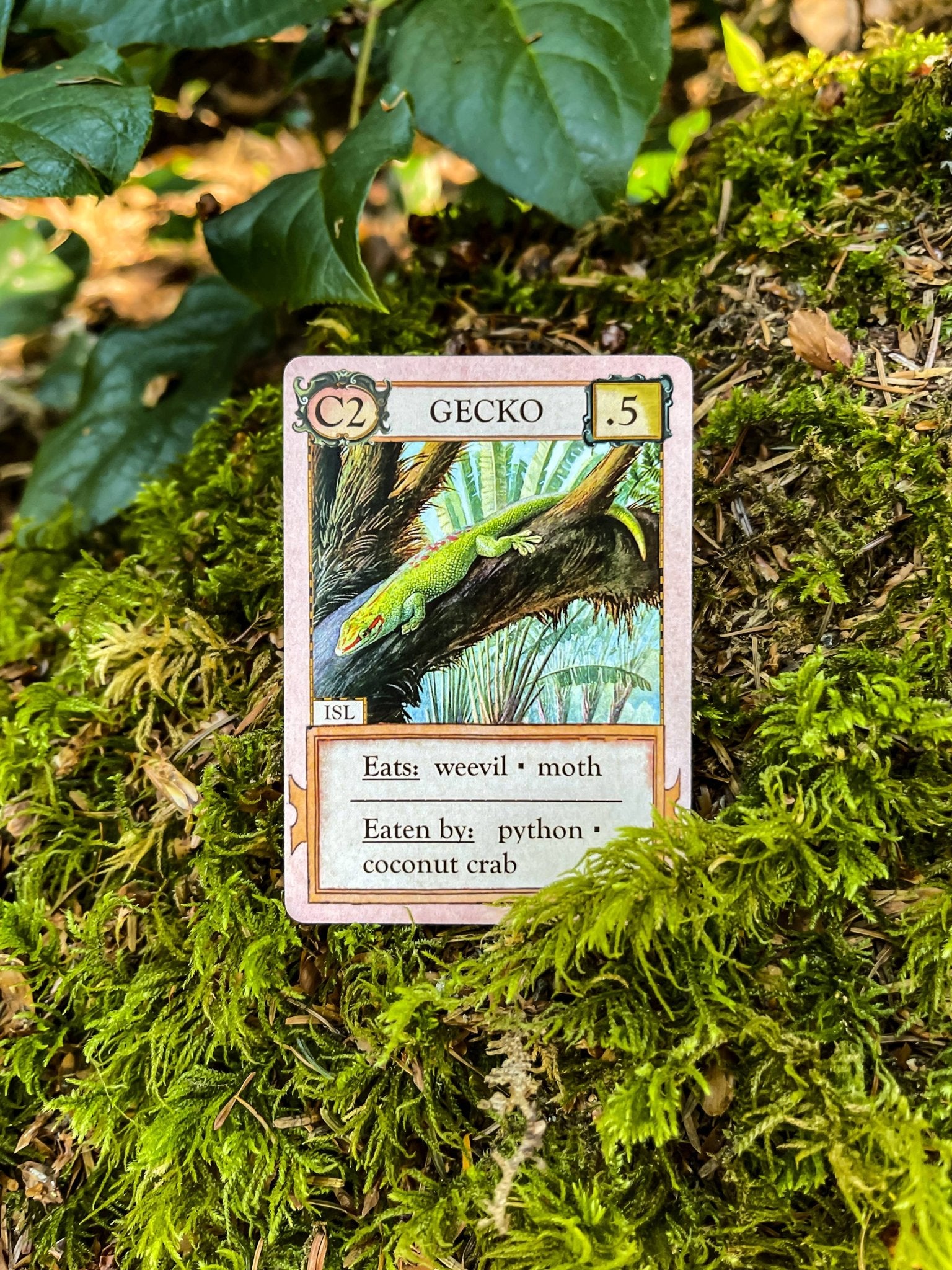 Ecologies: Hidden Habitats Card Game - Perrymans Books & Gifts