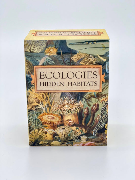 Ecologies: Hidden Habitats Card Game - Perrymans Books & Gifts