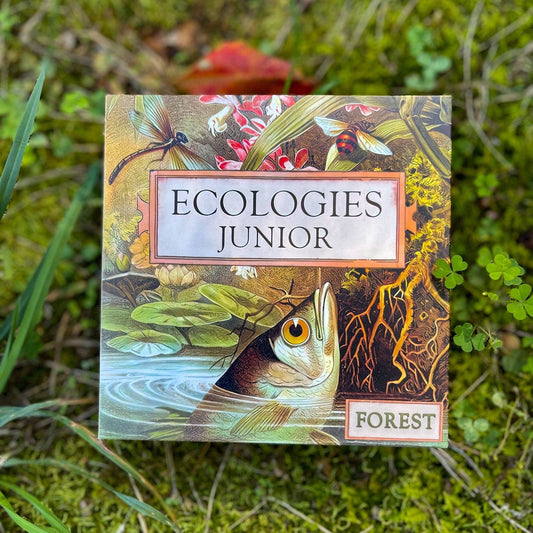 Ecologies Junior: Forest - Perrymans Books & Gifts