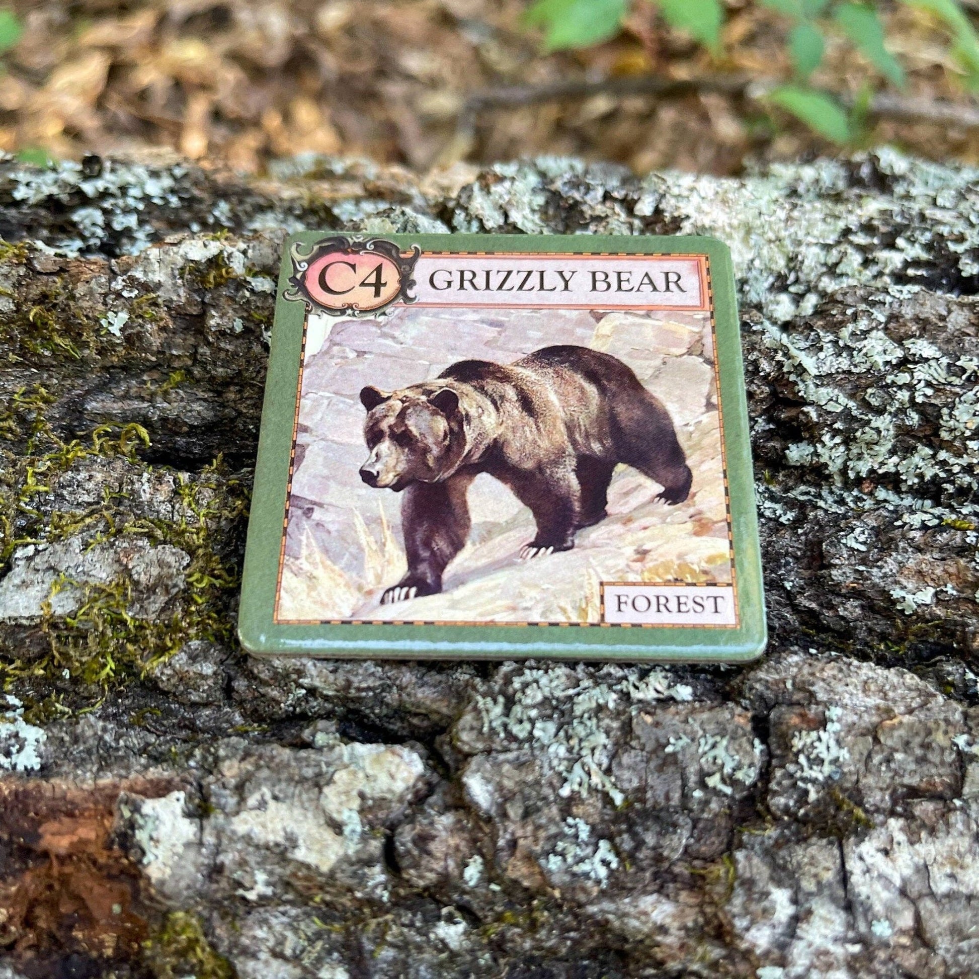 Ecologies Junior: Forest - Perrymans Books & Gifts