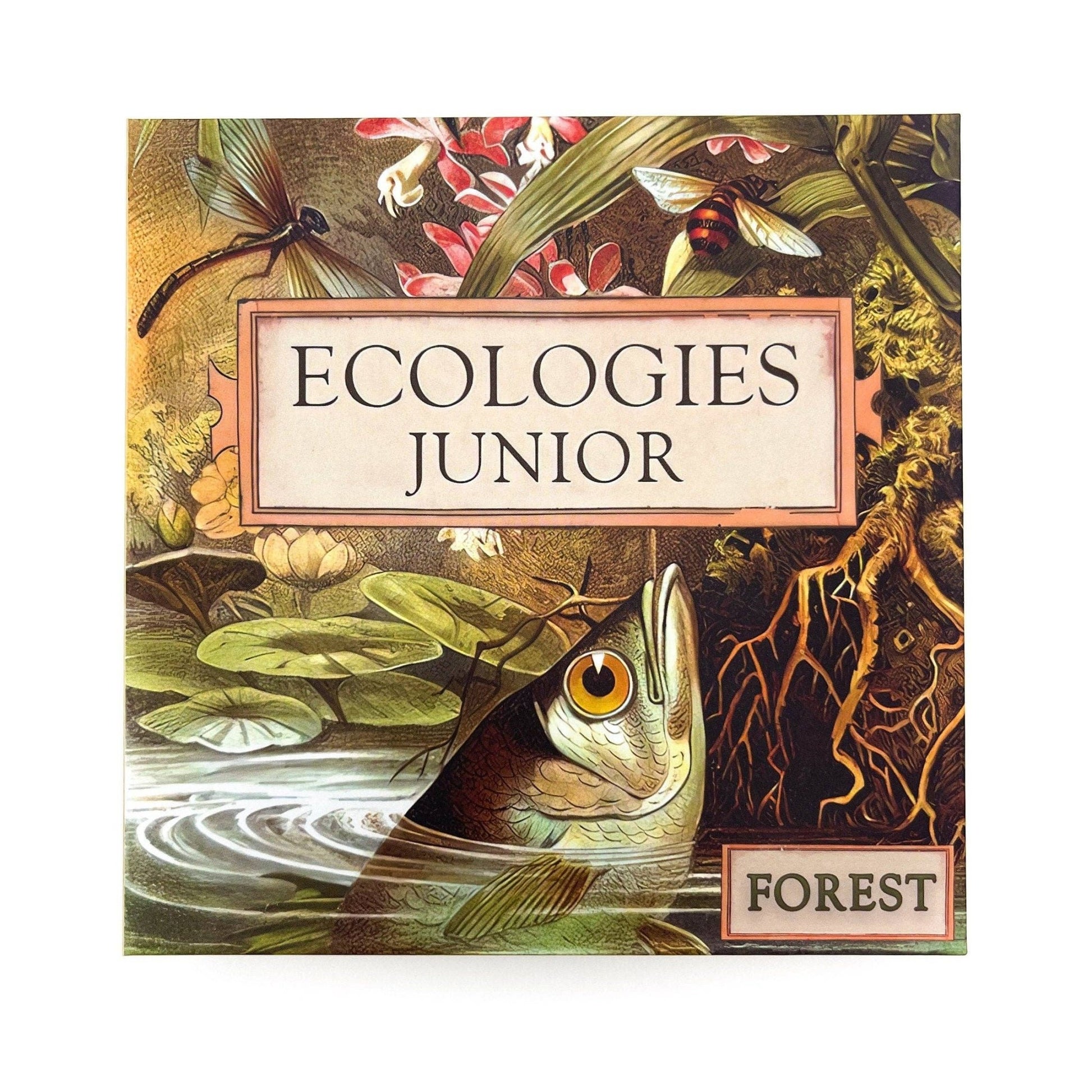 Ecologies Junior: Forest - Perrymans Books & Gifts