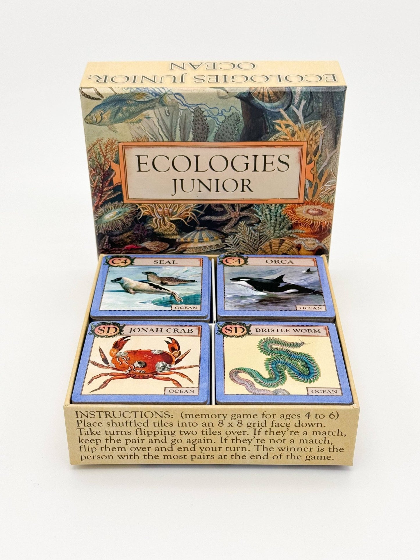 Ecologies Junior: Ocean - Perrymans Books & Gifts