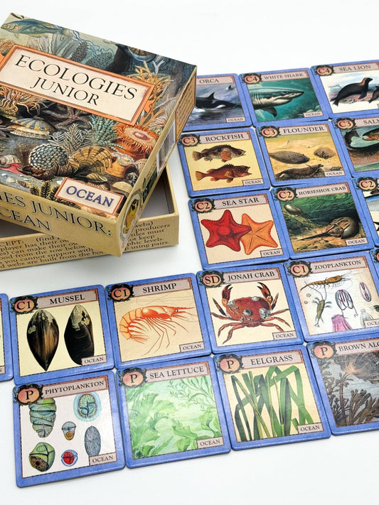 Ecologies Junior: Ocean - Perrymans Books & Gifts