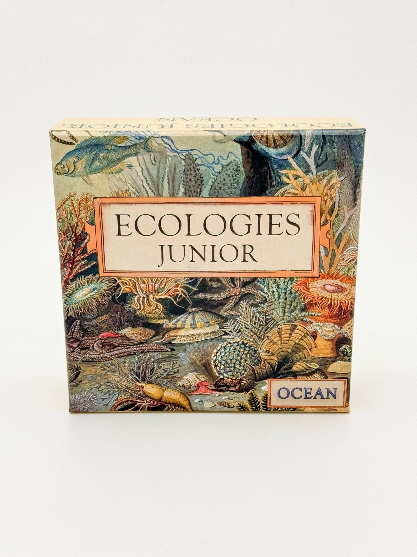 Ecologies Junior: Ocean - Perrymans Books & Gifts