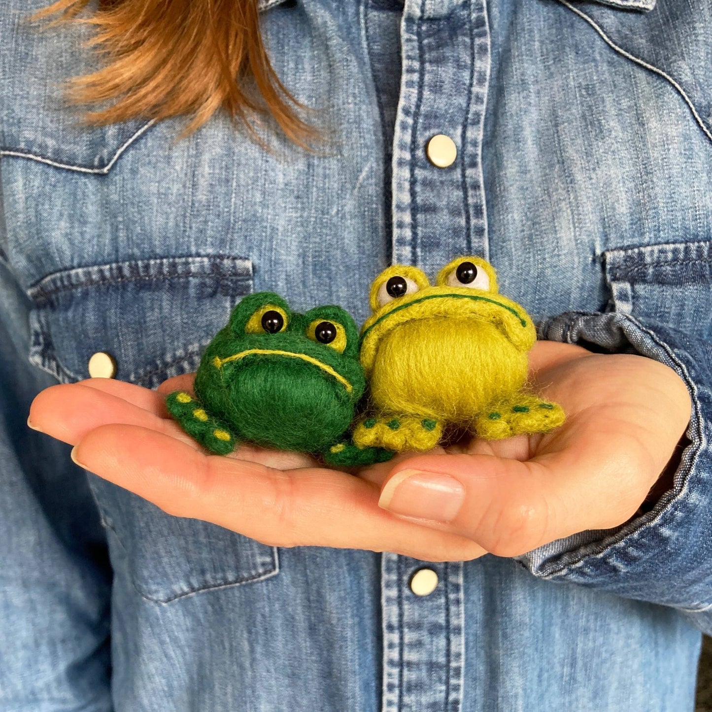 Frogs Needle Felting Kit - Learn to make two funny frogs - Perrymans Books & Gifts