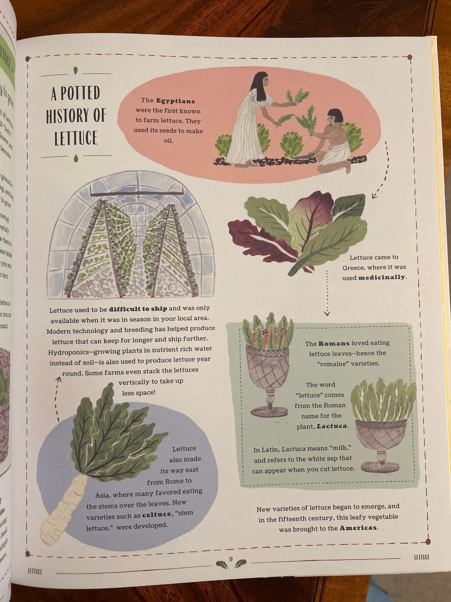 Grow - A Family Guide to Plants and How to Grow Them. - Perrymans Books & Gifts