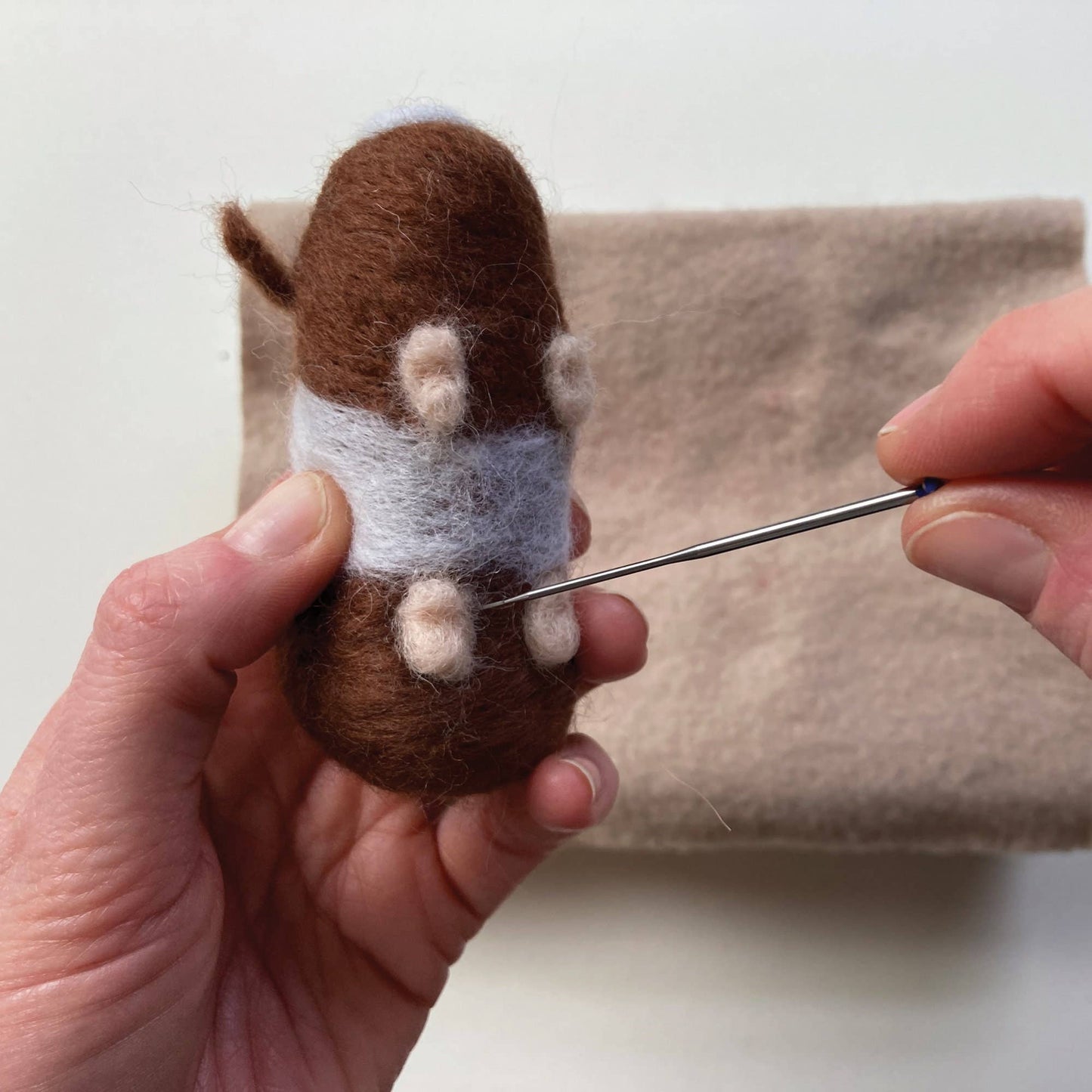 Guinea Pigs Needle Felting Kit - Perrymans Books & Gifts