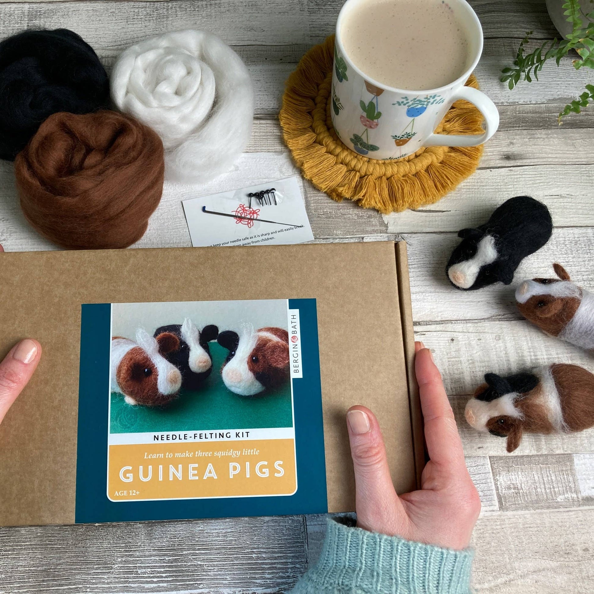 Guinea Pigs Needle Felting Kit - Perrymans Books & Gifts