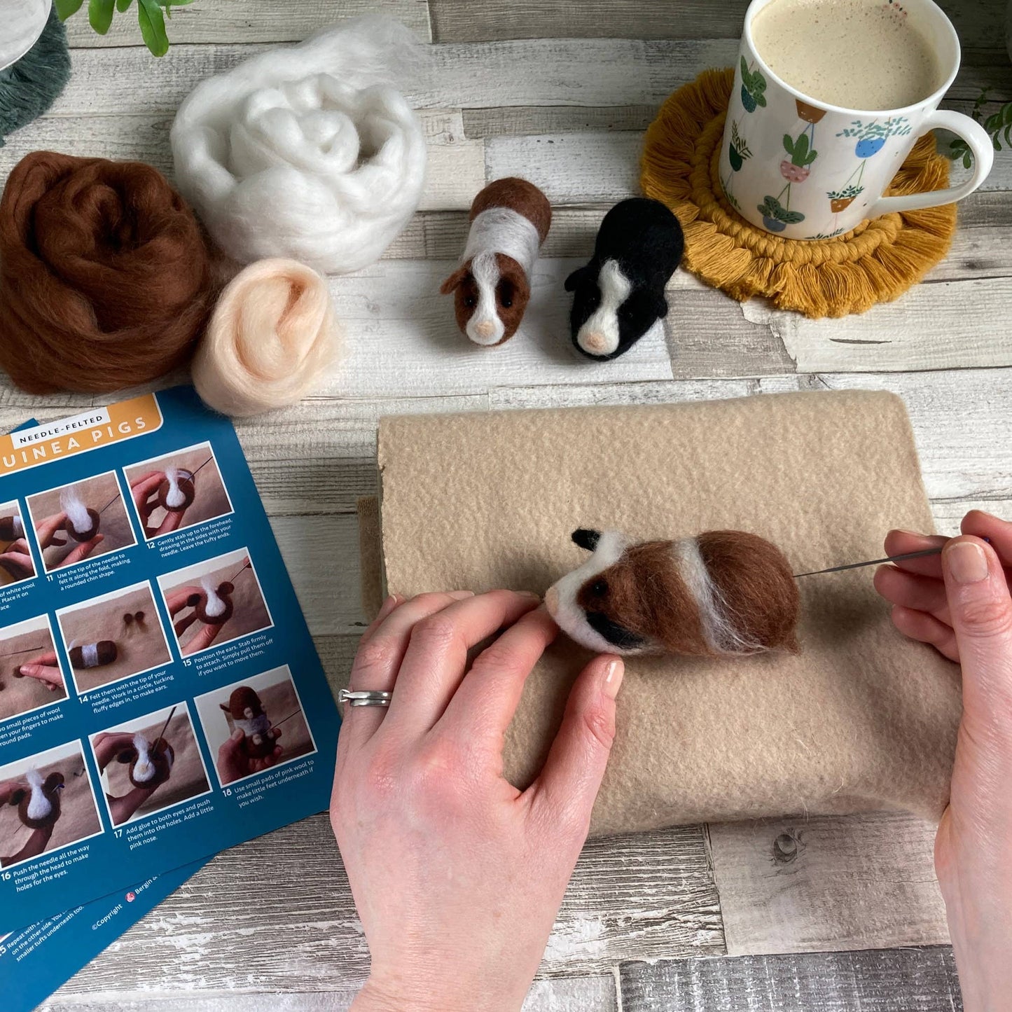 Guinea Pigs Needle Felting Kit - Perrymans Books & Gifts