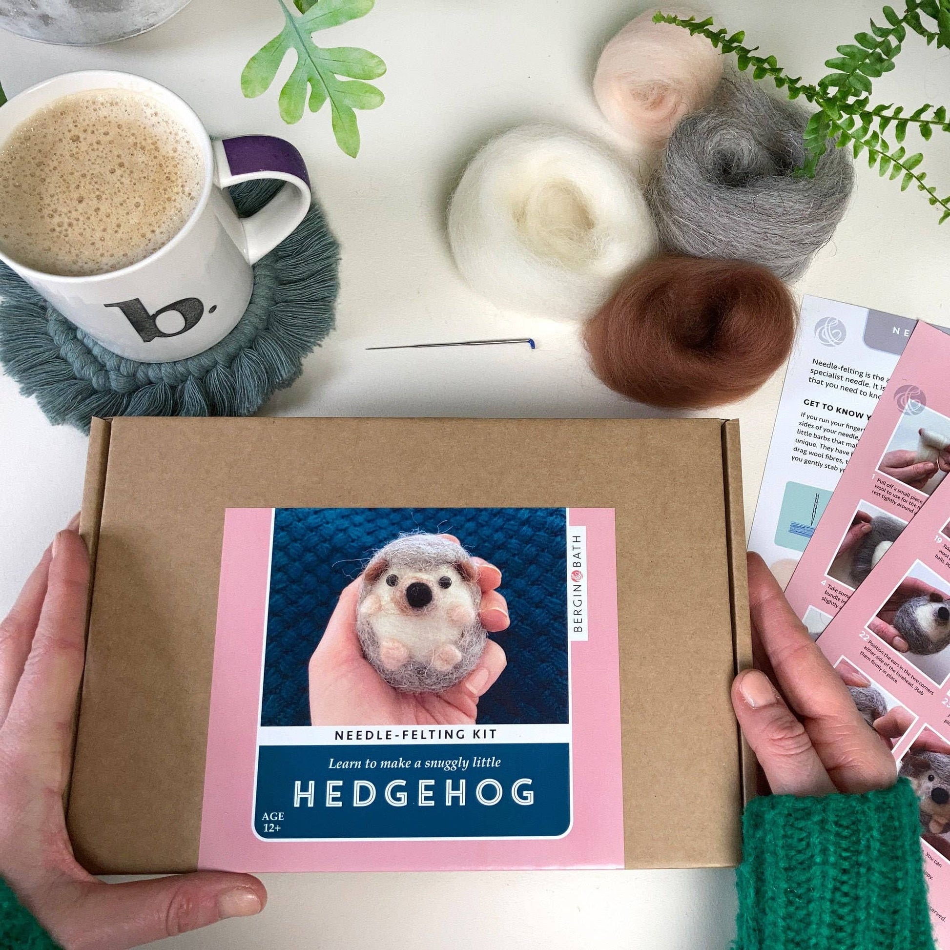 Hedgehog Needle Felting Kit - Perrymans Books & Gifts