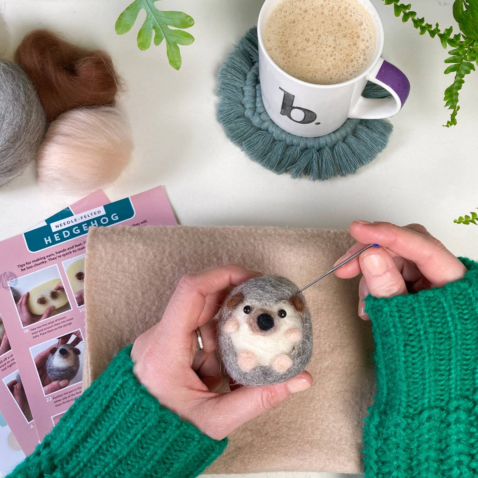 Hedgehog Needle Felting Kit - Perrymans Books & Gifts