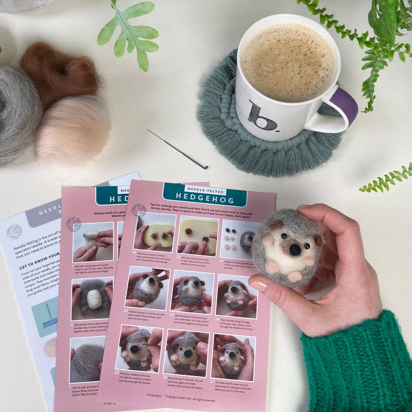 Hedgehog Needle Felting Kit - Perrymans Books & Gifts