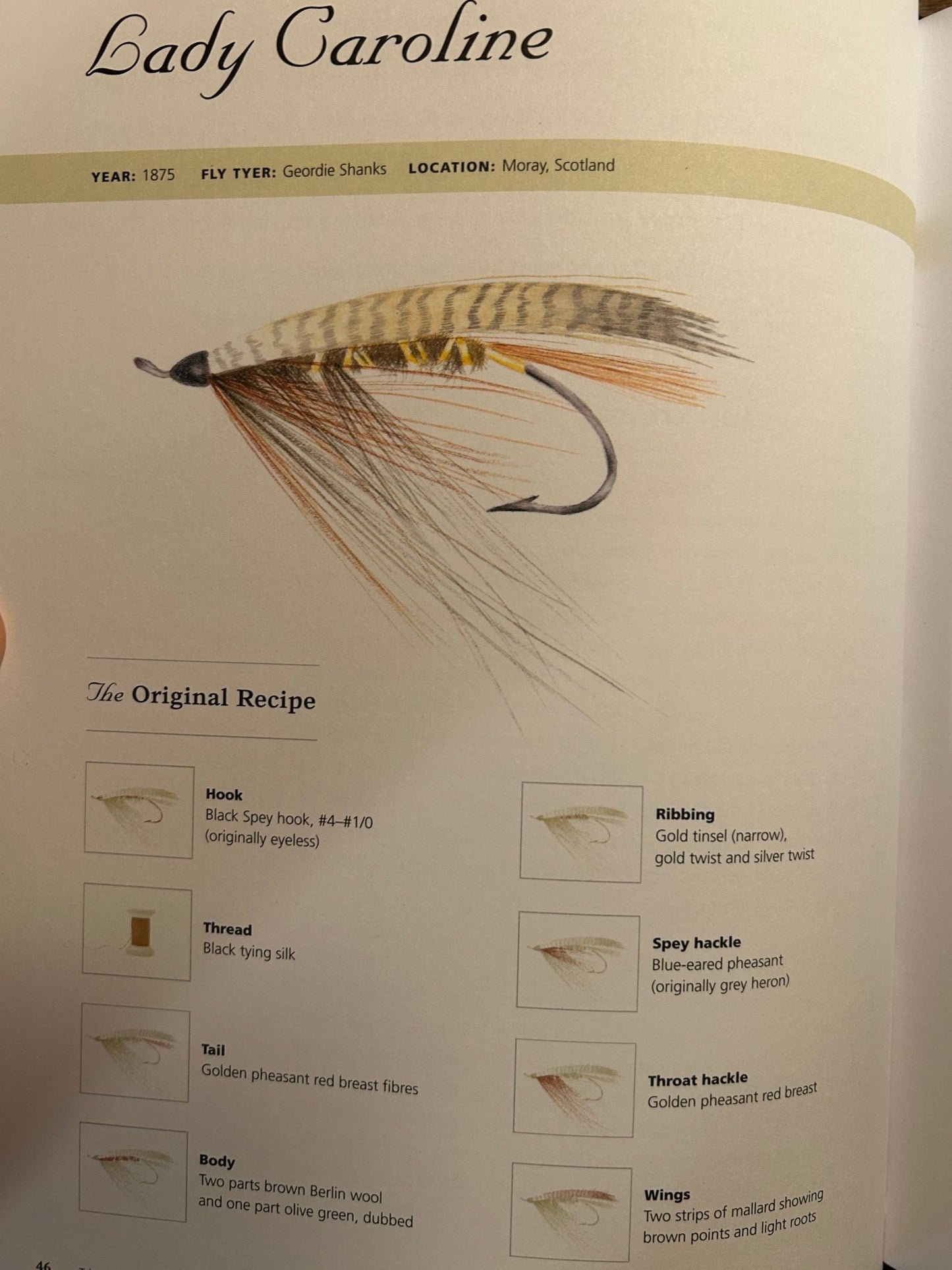 History of Fly - Fishing in Fifty Flies - Perrymans Books & Gifts