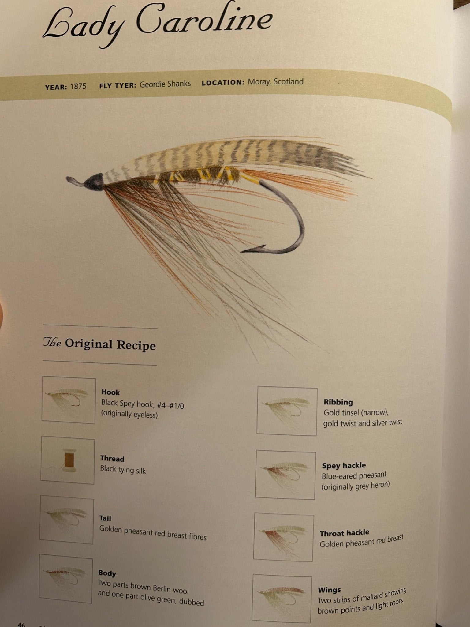 History of Fly - Fishing in Fifty Flies - Perrymans Books & Gifts