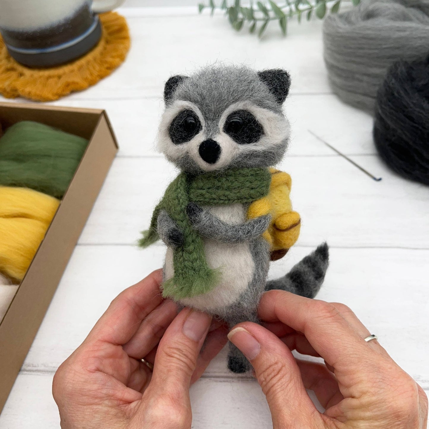 Raccoon Needle Felting Kit - Perrymans Books & Gifts