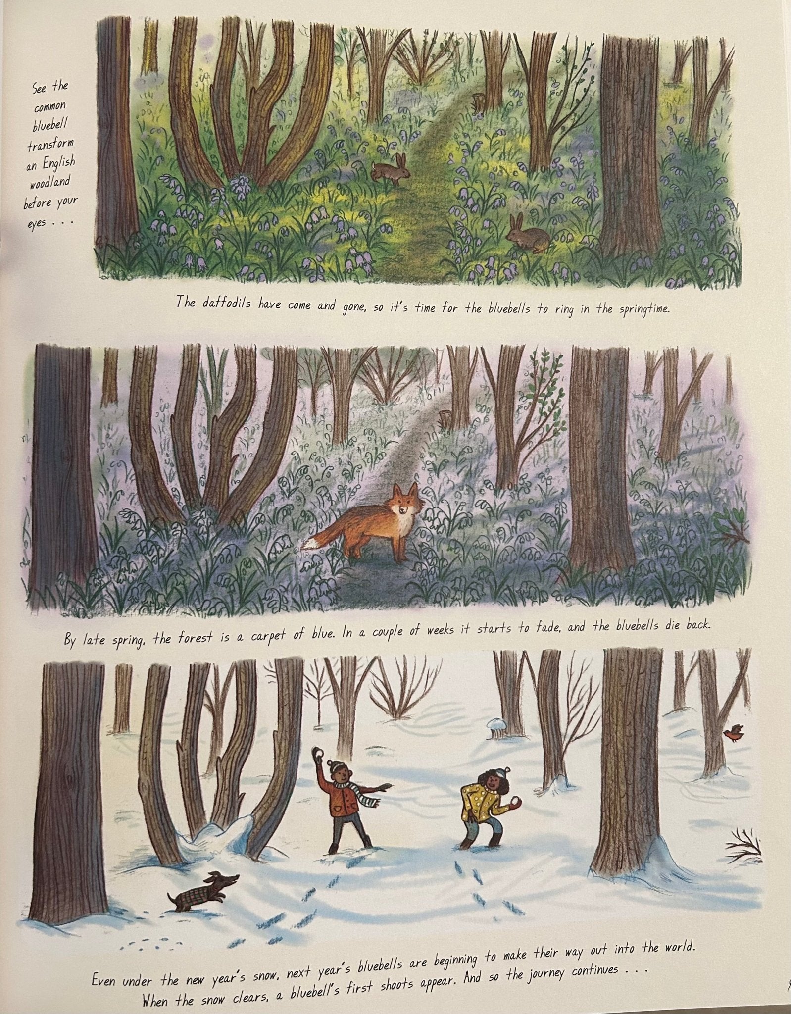 Slow Down - Perrymans Books & Gifts