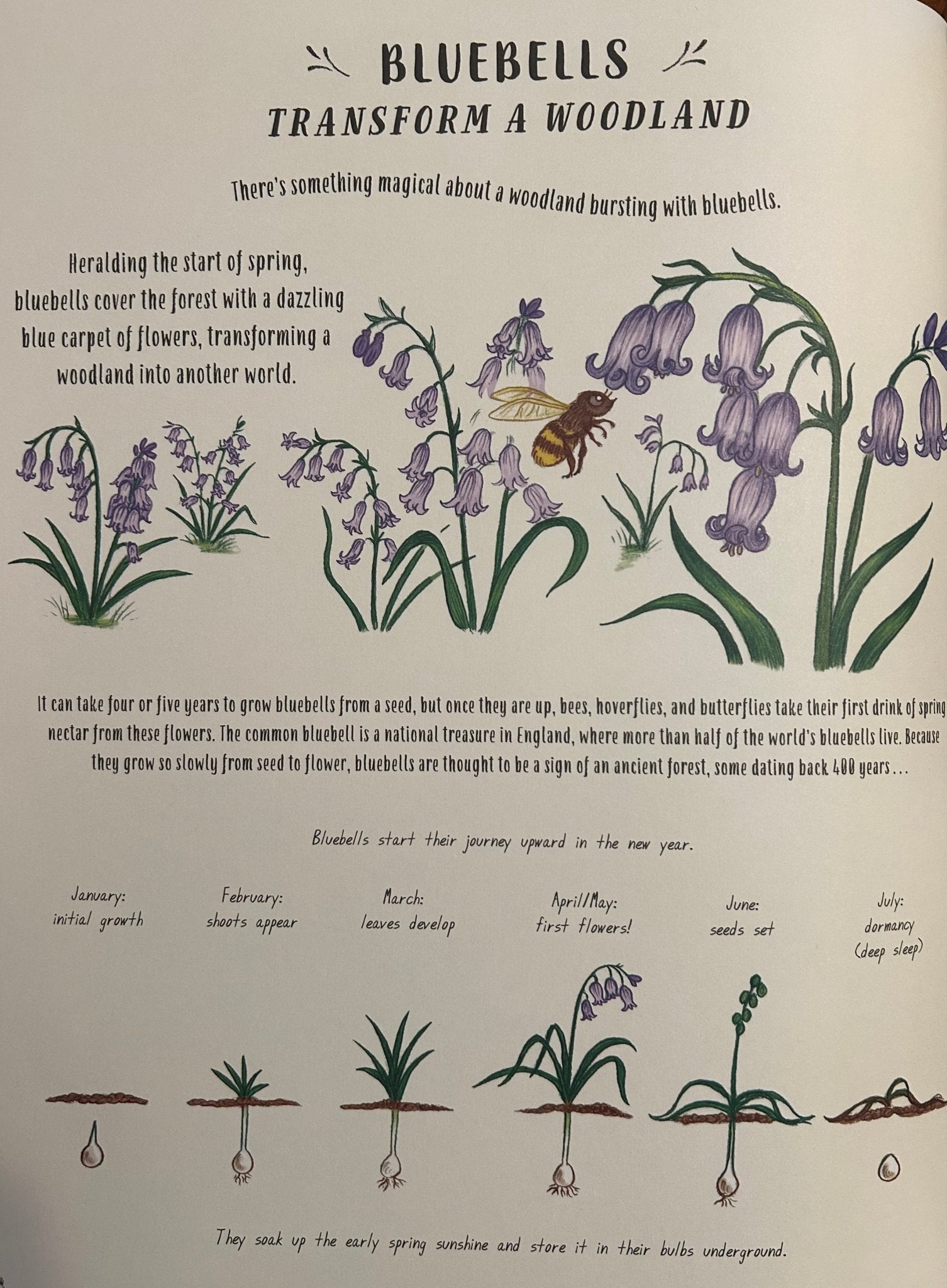 Slow Down - Perrymans Books & Gifts