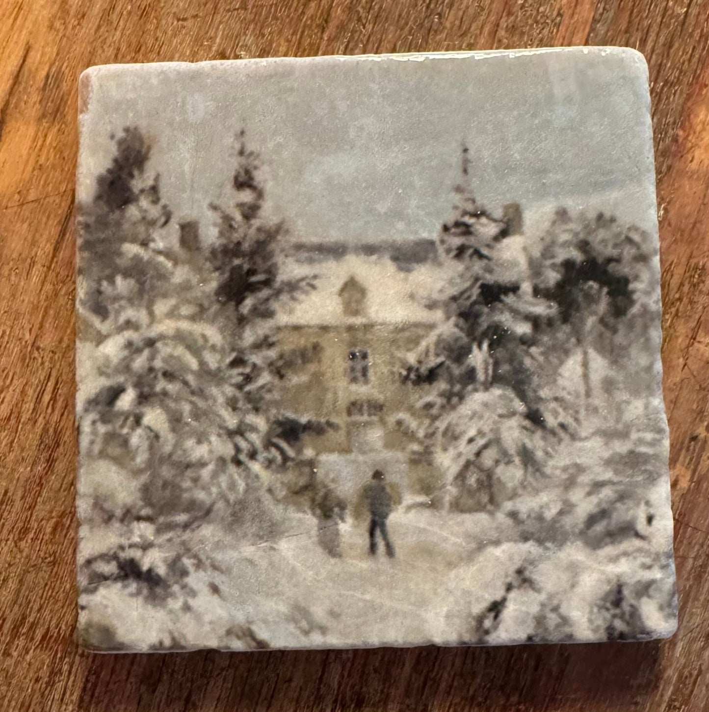 Stone Coasters - Tiny Works of Art from The Painted Lily - Perrymans Books & Gifts