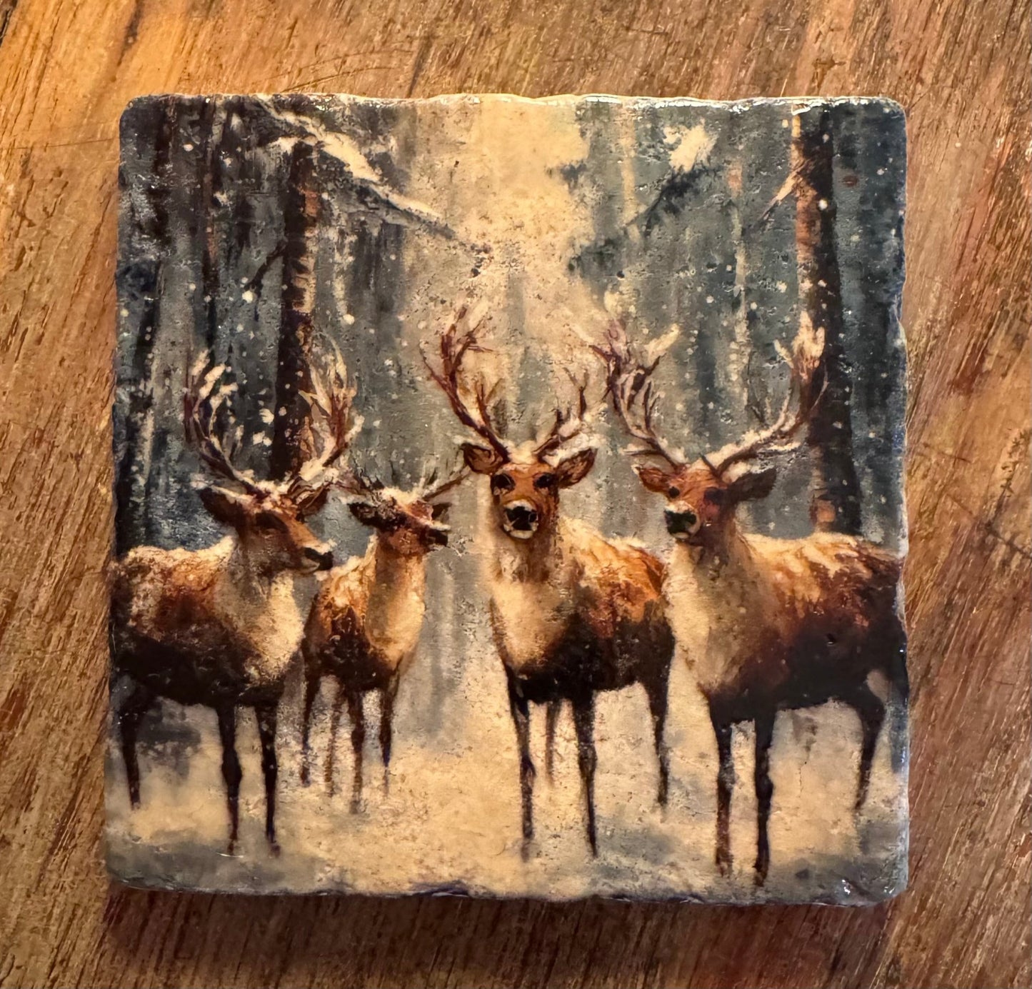 Stone Coasters - Tiny Works of Art from The Painted Lily - Perrymans Books & Gifts