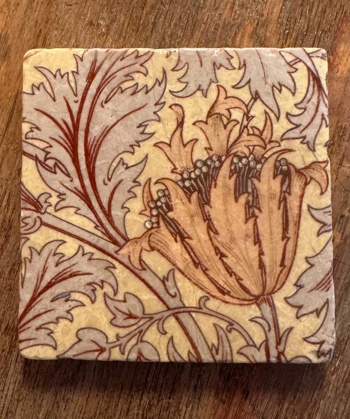 Stone Coasters - Tiny Works of Art from The Painted Lily - Perrymans Books & Gifts