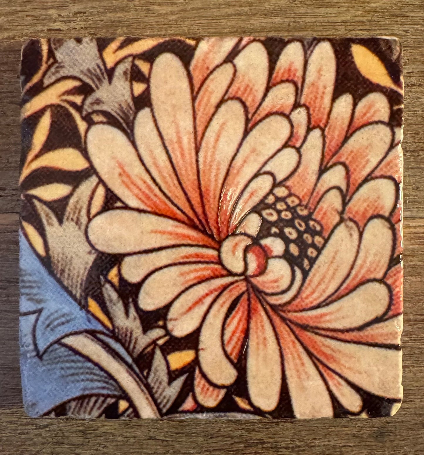Stone Coasters - Tiny Works of Art from The Painted Lily - Perrymans Books & Gifts