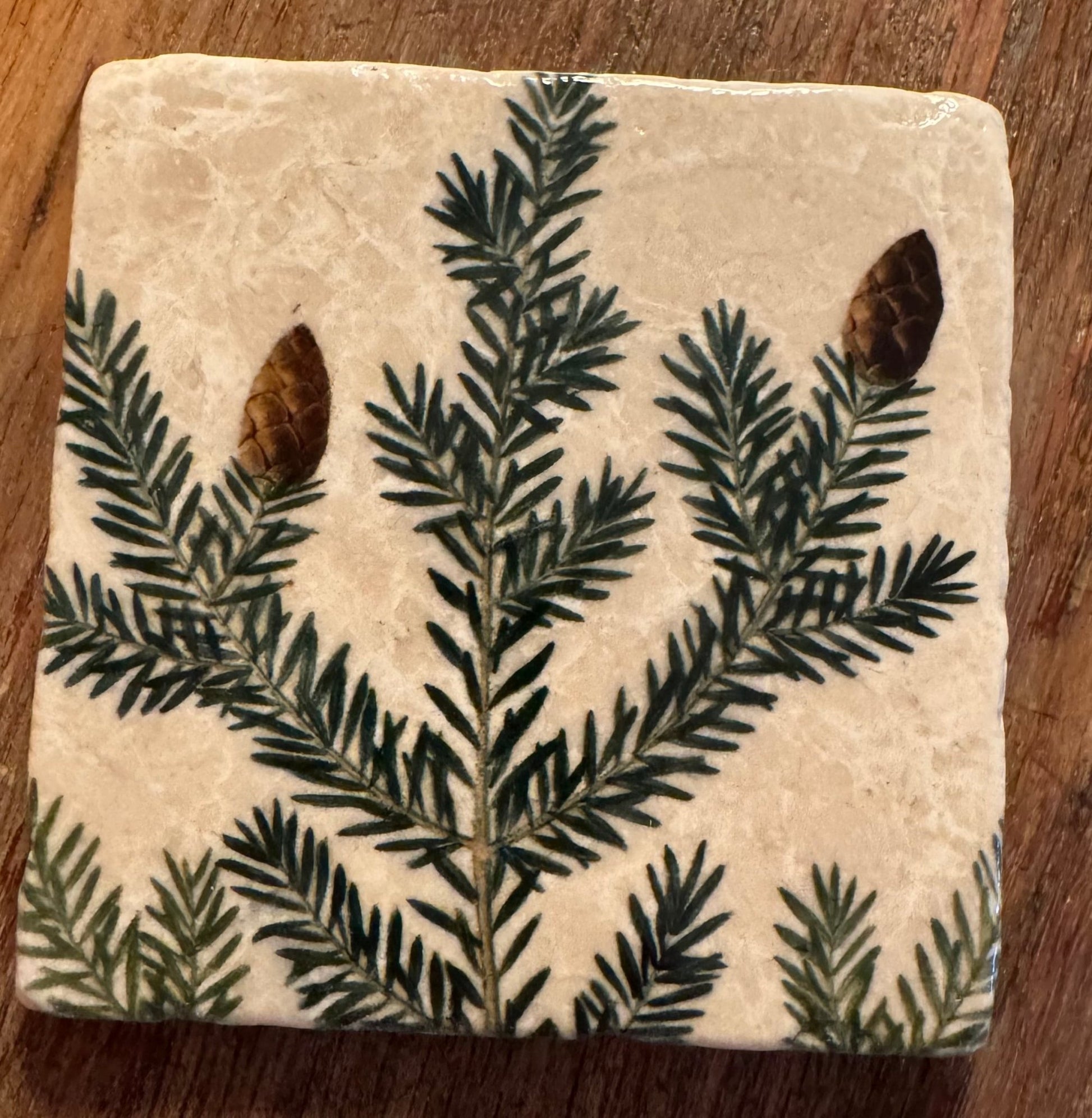 Stone Coasters - Tiny Works of Art from The Painted Lily - Perrymans Books & Gifts